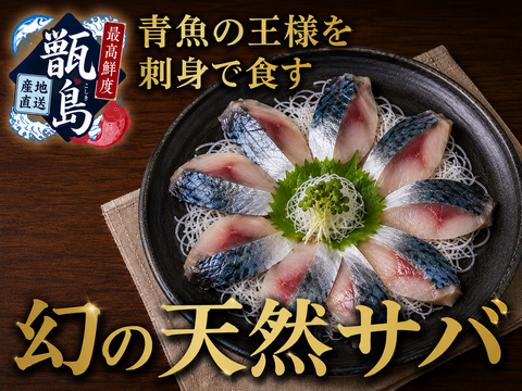【一度知ると戻れない】極上天然鯖の刺身体験『幻の天然サバ』業界初パウダースノー冷凍最高鮮度本格刺し盛り🐟大容量パッケージ刺し盛り約600g甑島ブランド【6月上中旬予約】