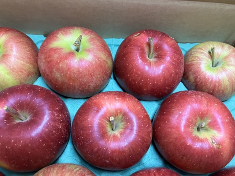 青森県産りんご 「シナノスイート」 家庭用 キズ有 約10kg(5kg×2箱)【人気・光センサー選果】