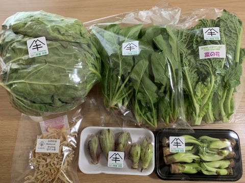 定期便設定（お届け日は２～３日前後します）【たっぷりいろいろ　２０００円セット】農家人が選ぶ旬野菜のおまかせセットです。季節ごとの旬の世界農業遺産ブランド野菜を厳選してお届け致します。