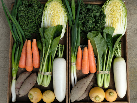 【旬のお野菜セット（共同購入用）】きほんのお野菜セット（8品）×2セットを一箱にまとめてお届けします!!