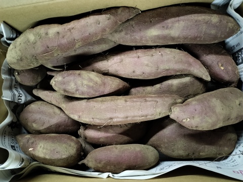 さつまいも　シルクスイート　4.5ｋｇ