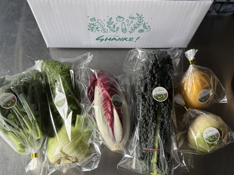 お料理の幅が広がる！ 季節の西洋野菜 Italian selection 60サイズ