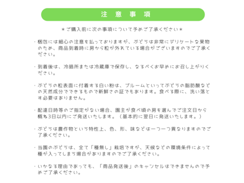 【特選】巨峰・種無し　1.0kg/2~3房