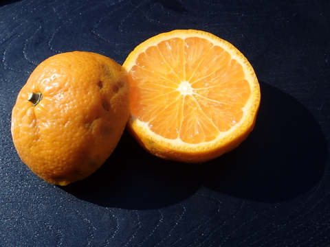 見た目は悪くても農薬は使わんモン！熊本の完熟農6号4kg　　　　　　　　　　　　　　　　　　　　　　　　（化学肥料不使用／農薬不使用）