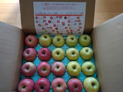 ラストです！農薬5割減栽培🍎🍏特別貯蔵のサンふじ&王林 5kgセット キズなし良品　青森県特別栽培認証 りんご食べ比べ 葉とらずりんご