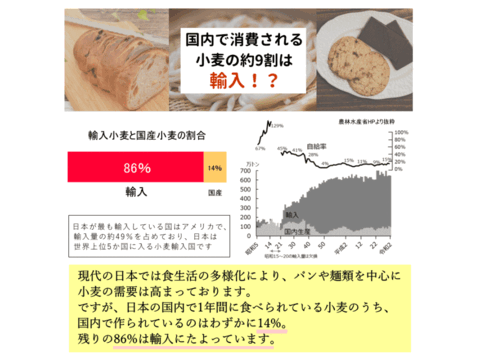 【栽培期間中農薬不散布】強力粉 2kg 青森県産単一品100％使用 日本の小麦 「ゆきちから」