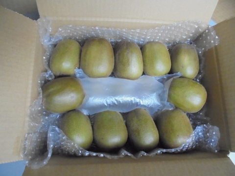 レインボーレッド （レッドキウイ）　中玉、大玉混合２．２Kｇ　糖度20度