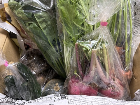【おまかせ】オーガニック野菜セット(6品)