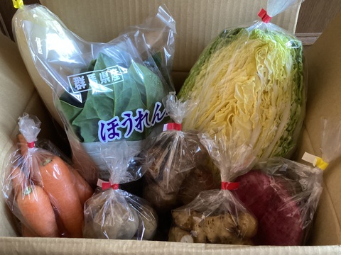 ♪人気商品♪『農薬、化学肥料不使用』【2~3人前】
季節の野菜Sセット（8-9品）「群馬県高崎産」