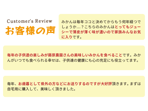 とれたてしもつみかん10kg｜和歌山県海南市下津町から産地直送でお届け