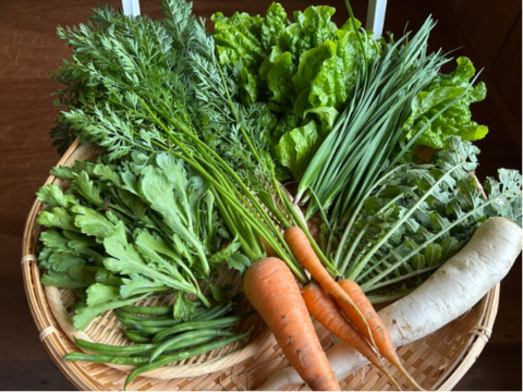 奥出雲産自然栽培野菜セット