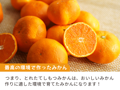 とれたてしもつみかん5kg｜和歌山県海南市下津町から産地直送でお届け