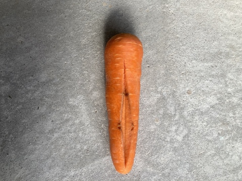 甘み旨みたっぷり！訳あり人参！栄養価コンテスト人参部門最優秀賞受賞！訳あり人参5kg 化学合成農薬・化学肥料・除草剤不使用！割れ　ヒビ　又割れ　傷　少々の虫食い　味は通常人参と同じ！　個性豊かな人参