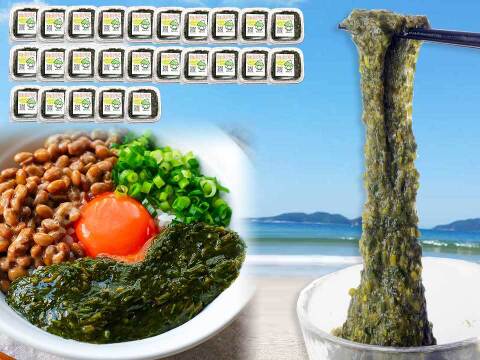 【ネバシャキが止まらない冬】福岡産アカモク２５個 おすすめの食べ方付き