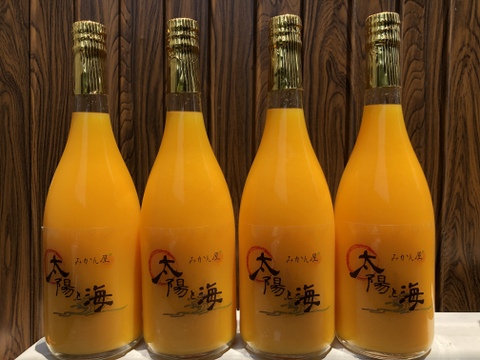 愛媛の石地みかんジュース☆ 4本セット
