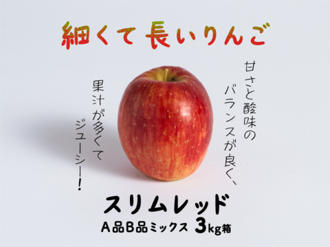 年明け発送🍎【幻の小玉第3弾】スリムレッド シャキッとジューシー 3キロ箱使用 9〜25玉程度　商品ID51599 長野県 信州 安曇野 リンゴ 幻 幻のリンゴ 予約 希少 旬