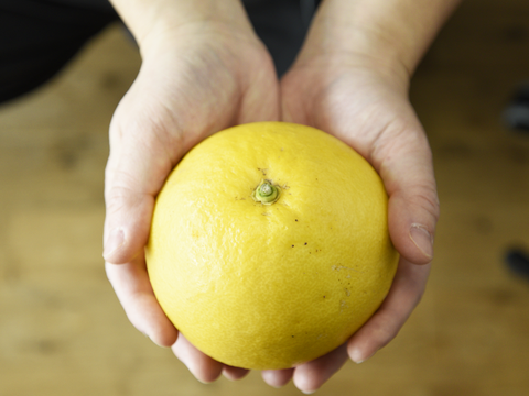 プリプリとした食感と爽やかな甘み　文旦（ぶんたん）【家庭用(訳あり)】[5kg]　336-3