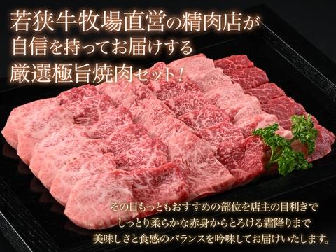 【牧場オーナー厳選】極旨 若狭牛食べ比べ 霜降りと赤身の贅沢極み焼肉盛り合わせ 600g （2-3人前）