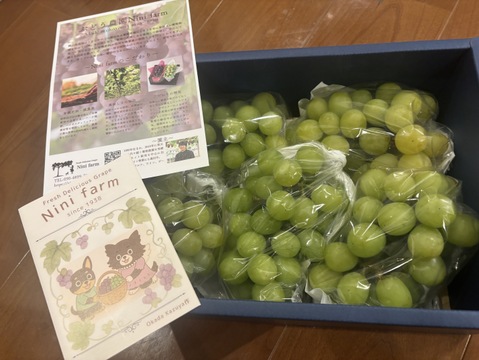 【福袋2025】限定50セット とにかくシャインマスカットがたくさん食べたい方へ　サイズお任せシャインマスカット 計2.0kg以上