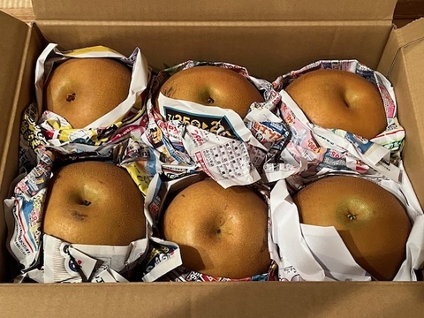 栃木県が誇るにっこり栃木産　5キロ(10-11個)