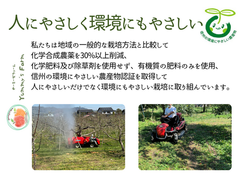 56信州産　早生ワッサー家庭用3キロ2箱 希少 早生ワッサー3kg【贈答用】（9～12玉）／本気農場いけだ