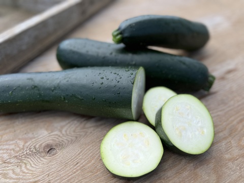 今が旬！大きいオーガニックズッキーニ 🥒5kg  
Organic Zucchi 【有機JAS認証取得】