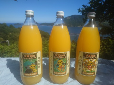 自然栽培！甘夏100%ストレートジュース
1㍑×3本