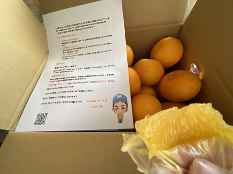 【先行予約】はっさく好きなあなたへ♪プリップリジューシーな果肉♪まーくん家のオススメ八朔 5キロ箱 【家庭用】