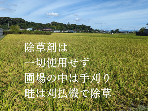 R5:あきたこまち5ぶつき9kg（農薬不使用のお米）