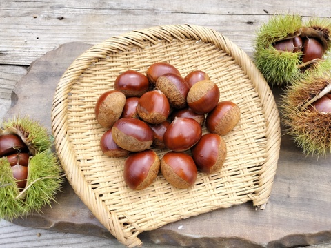 自然栽培　丹波産『黒枝豆』と『丹波栗（中粒）』500ｇセット