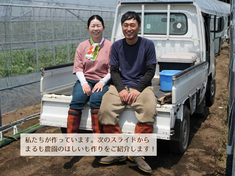 【新登場🍠】ほどよい甘みでパクパク食べられる！ほしいも「べにはるか平干し」200g×3袋　メール便発送