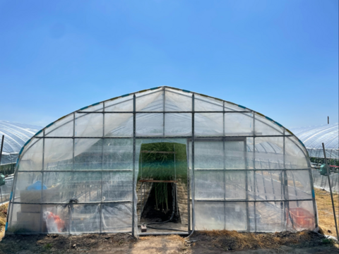 2025年北海道産！夏の青空アスパラ　Ｌサイズ(１kg)