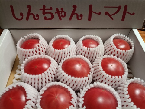 フルーツトマト　糖度9度以上　約750ｇ　高知県土佐市