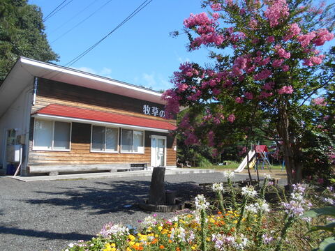 【味に自信あり】ななつ星アイスクリームカップ入り山ぶどう味（新商品）５個、ミルク味５個入りセット発泡スチロール　保冷剤込み