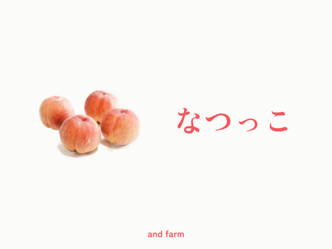 【数量限定】なつっこ｜かたくても甘い夏の定番桃　約2kg 約5~6玉