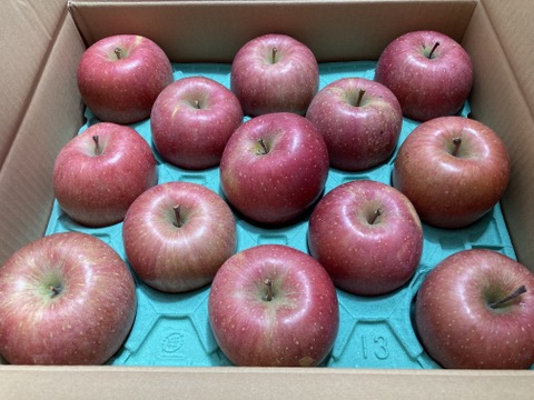 【人気商品 CA貯蔵品】青森県産りんご「サンふじ」家庭用 キズ有 約5kg【美味・光センサー選果済】