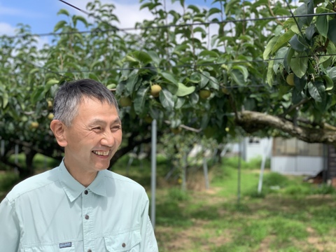【完熟収穫】富山県産豊水梨（徳用・ご家庭用１.８kg）