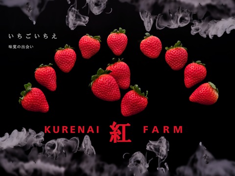 【冬ギフト】入賞☆食べチョクいちごグランプリ2025☆紅ファームのとちあいか