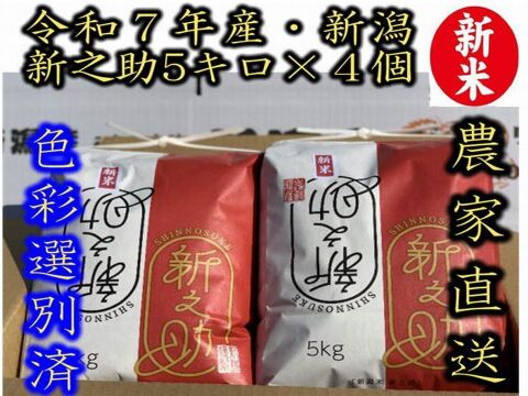 お正月限定お値打ち（ 通常の90％の価格）　大粒で　粒感がありしっかりとした食感　冷めても固くなりにくい新米　新潟県のお米のトップブランド　新之助（新潟県認証銘柄）　白米5kg × ４個★色彩選別済