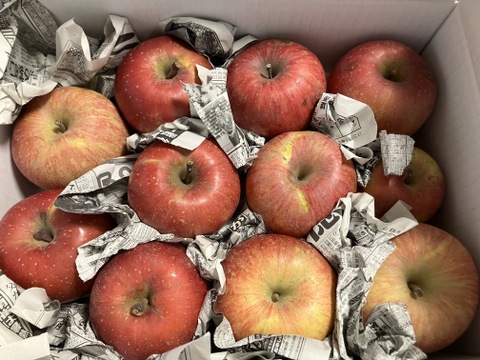 まるせい果樹園の節分りんご(春りんご)　訳あり　3㌔　自家用　家庭用 hs2