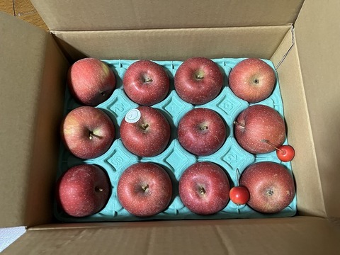 【国光】今や幻！？昔ながらの懐かしい味わい！【贈答規格2.5kg】