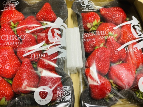 【訳あり】有機JASあまおう　アウトレット280gパック（※8パックまで送料同じ）