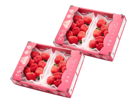 予約販売 2026年11月下旬～順次発送】🍓あまおう苺 サイズ色々