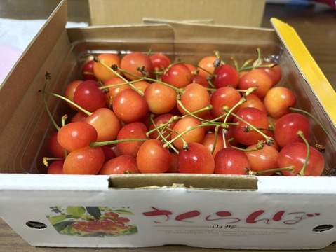 🍒スーパーBIGセール🍒【朝どれ】《紅秀峰》さくらんぼ 山形県東根産