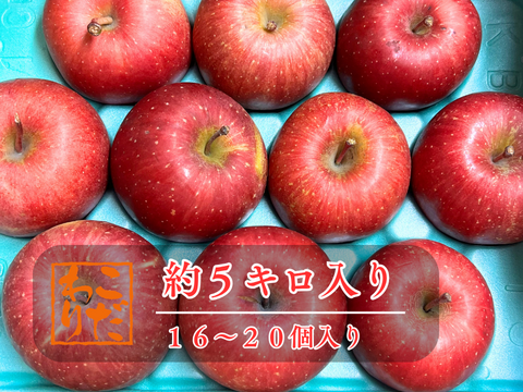 【200円引き中！】りんご ふじ 家庭用 約16から20玉 スッキリ美味しい 5kg  さんふじ リンゴ スイーツ 果物 リンゴ フジ サンふじ 秋田