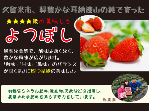 【四つ星級の甘さ】福岡県産よつぼし500g｜福岡県エコ農産物認証！