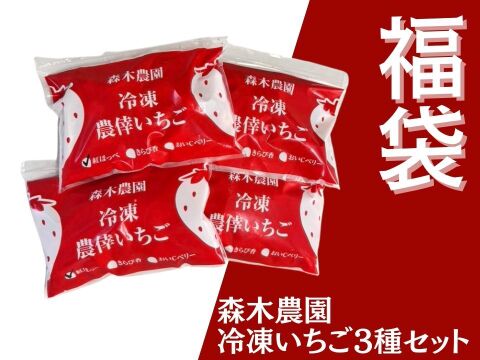 【福袋2025】森木農園人気の冷凍いちご贅沢福袋（紅ほっぺ＆きらぴ香＆おいCベリー）日常使いしやすい個袋パック。