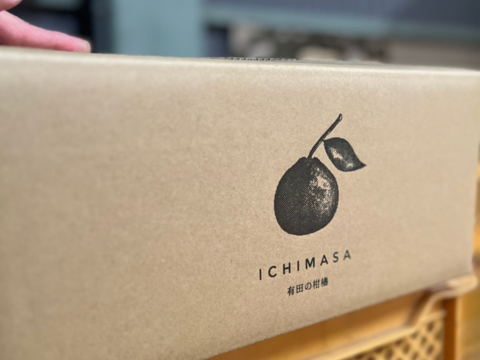 【木成り八朔】箱込み5キロ訳あり　※皮むき器つき　さつき八朔　はっさく