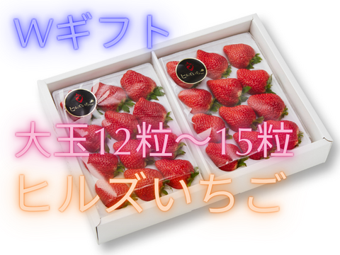 W【ギフト】宮城県産「完熟の大玉スターナイト」24粒～30粒ギフト箱入り