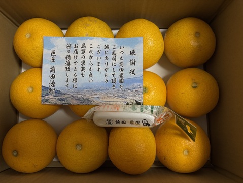 【特別栽培】和歌山県産【極ウマ】　八朔(8個～10個入り)